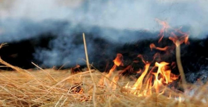 Wypalanie traw i pozostałości roślinnych